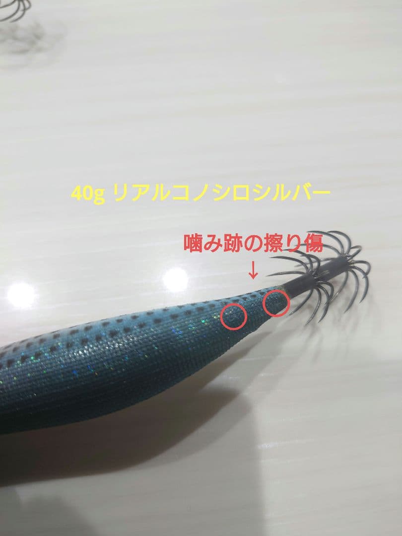 エギリー・ダートマックスTR 40g&30g 5本セット