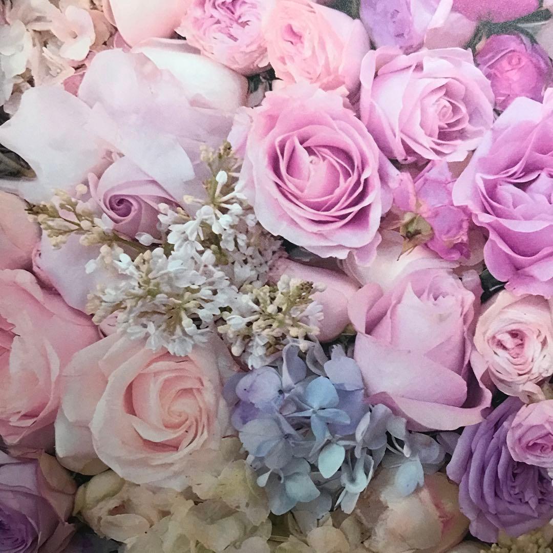 ◆ 手描きイラスト ◆ 刀剣乱舞　鶴丸国永　一期一振　つるいち