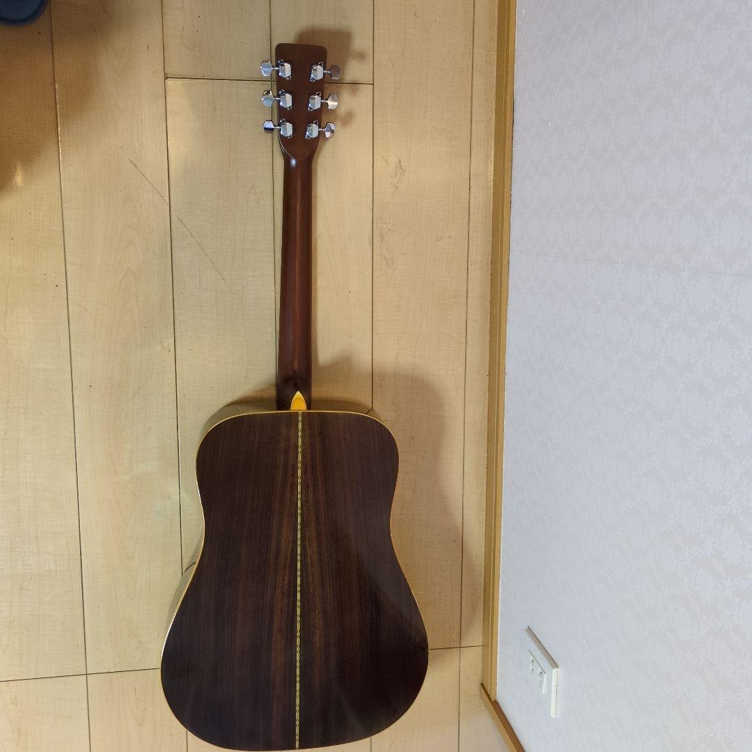 Morris アコースティックギター W-25