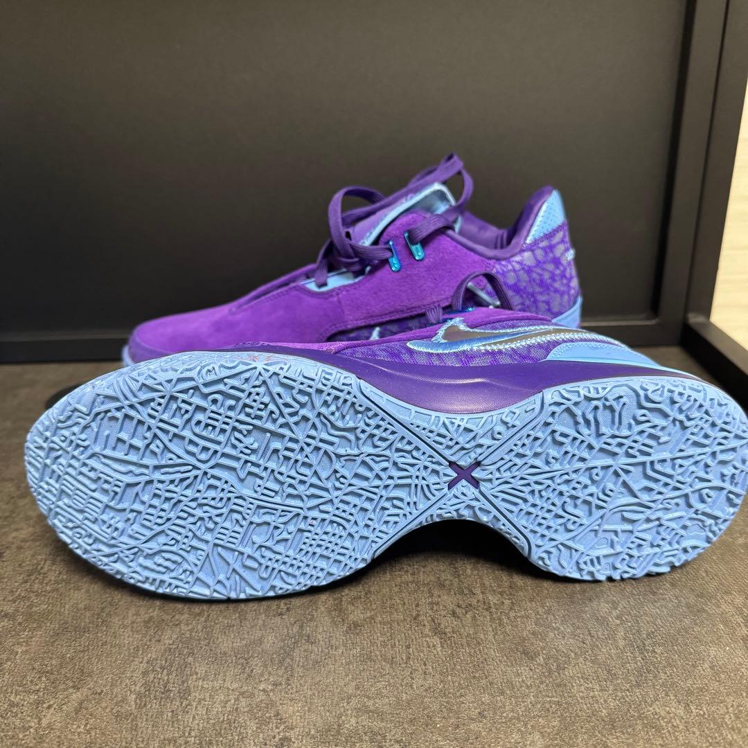 NIKE ZM LEBRON NXXT GEN AMPD バスケ シューズ 28