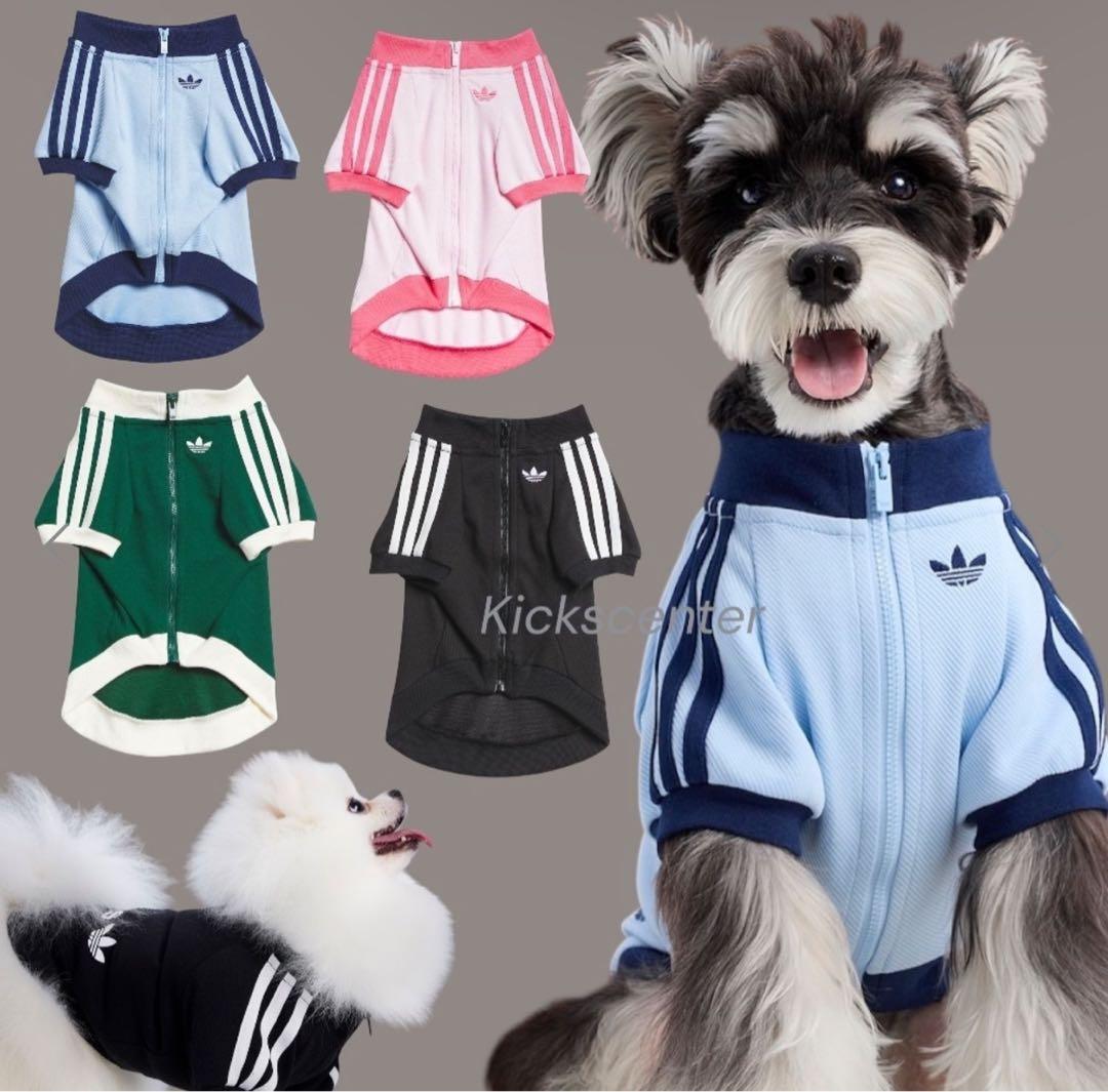 adidas 水色 犬服 猫服　中国限定　ジップアップウェア　XSサイズ