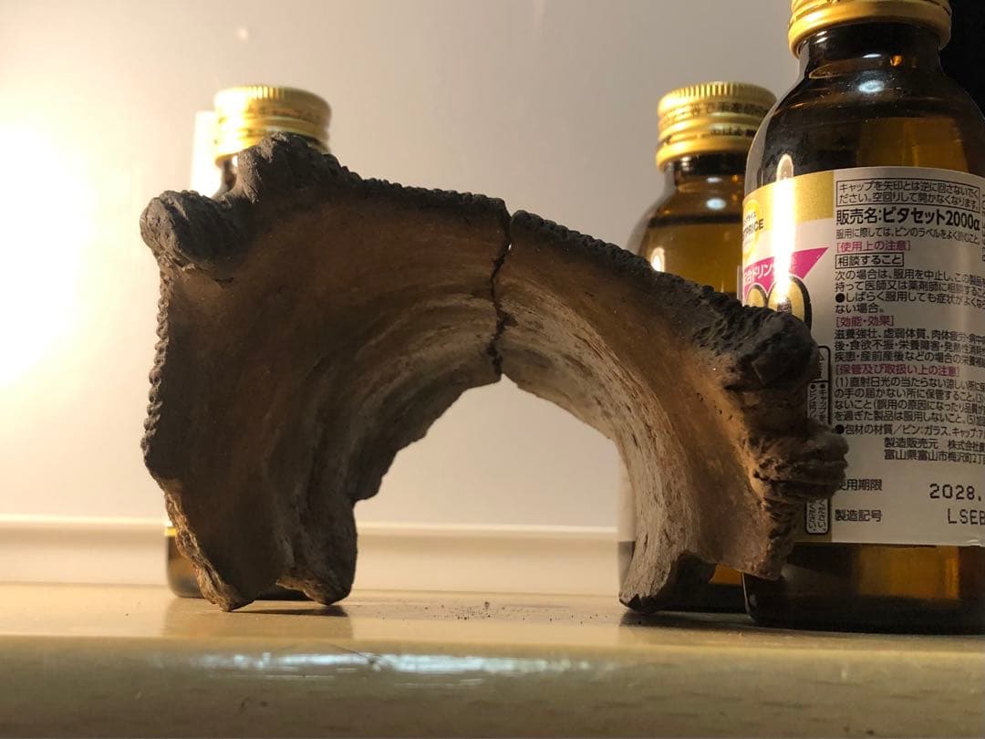 「縄文土器の欠片 No.528」です。