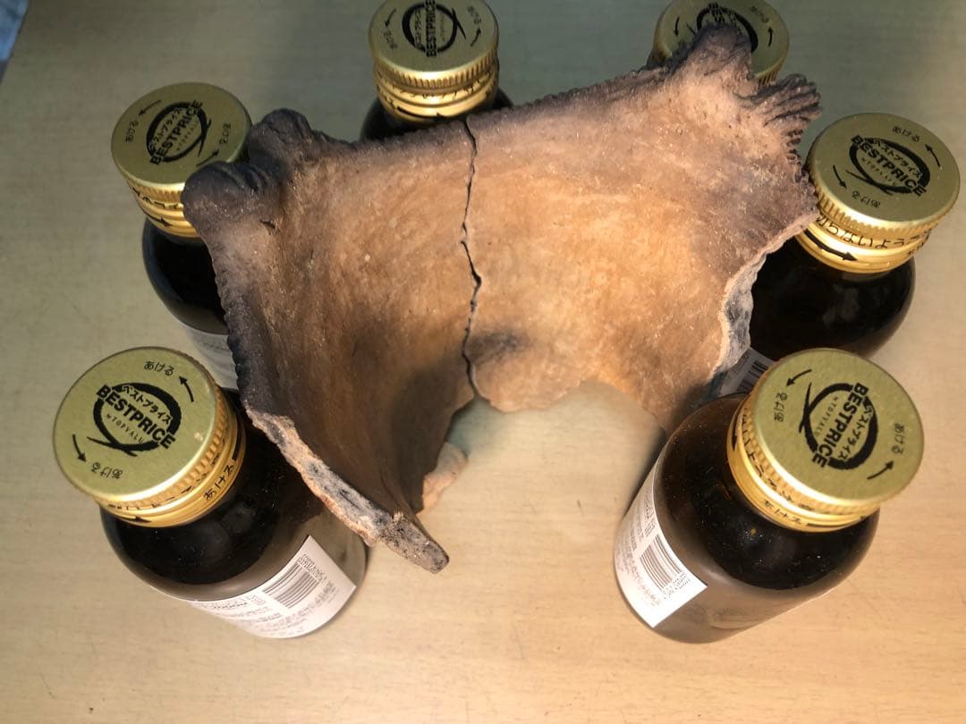 「縄文土器の欠片 No.528」です。