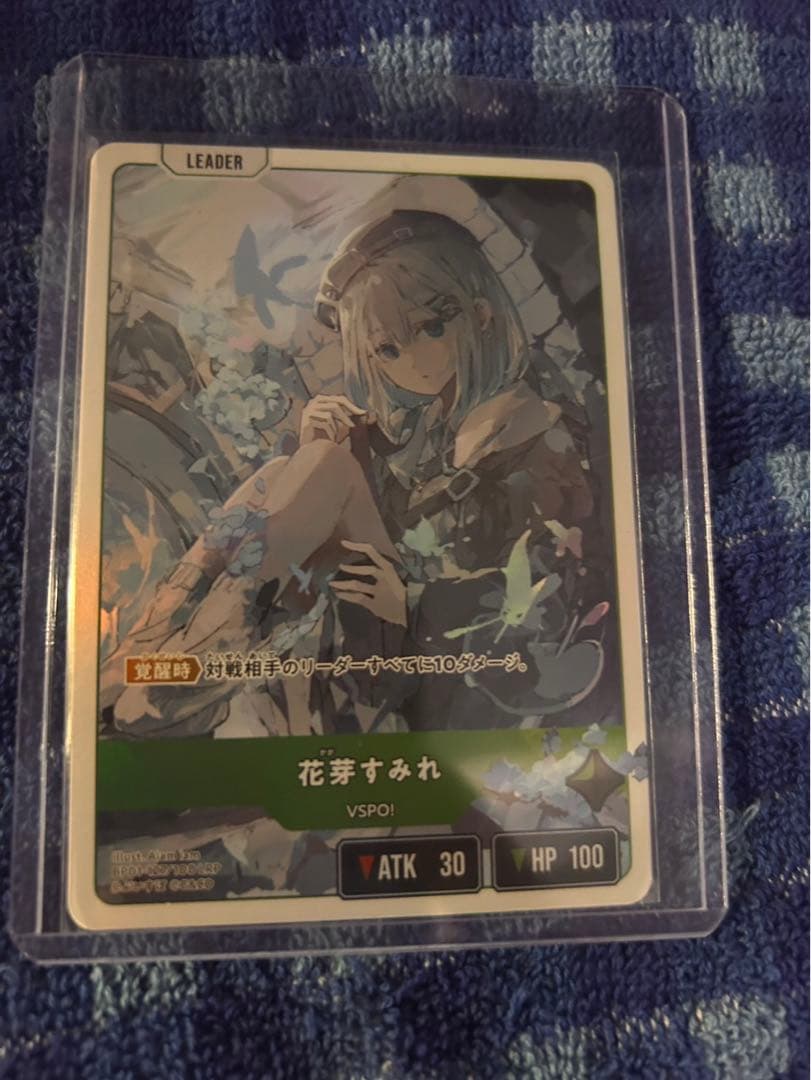 クロスタ　花芽すみれ　LRP