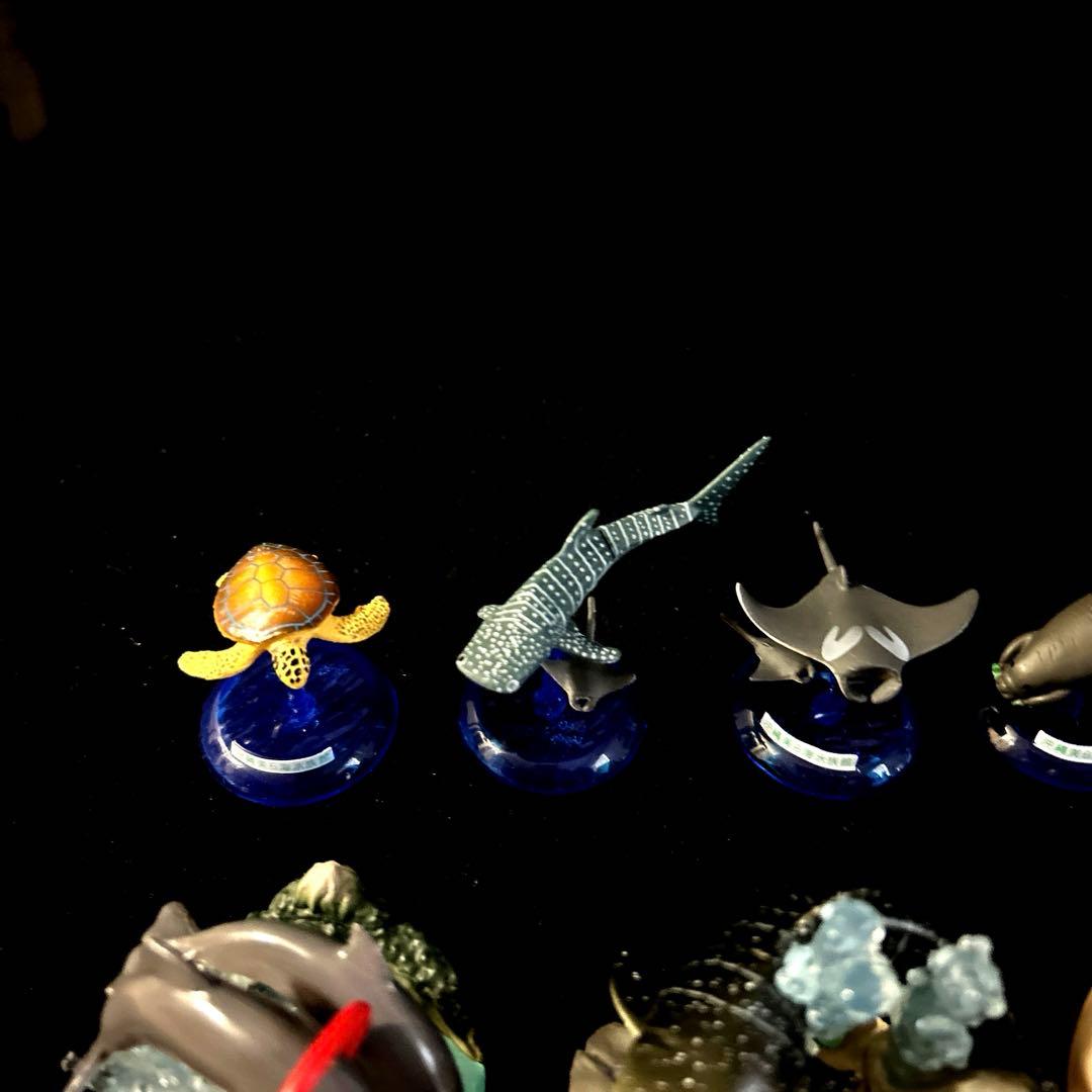 激レア 沖縄美ら海水族館 カプセルフィギュアコレクション
