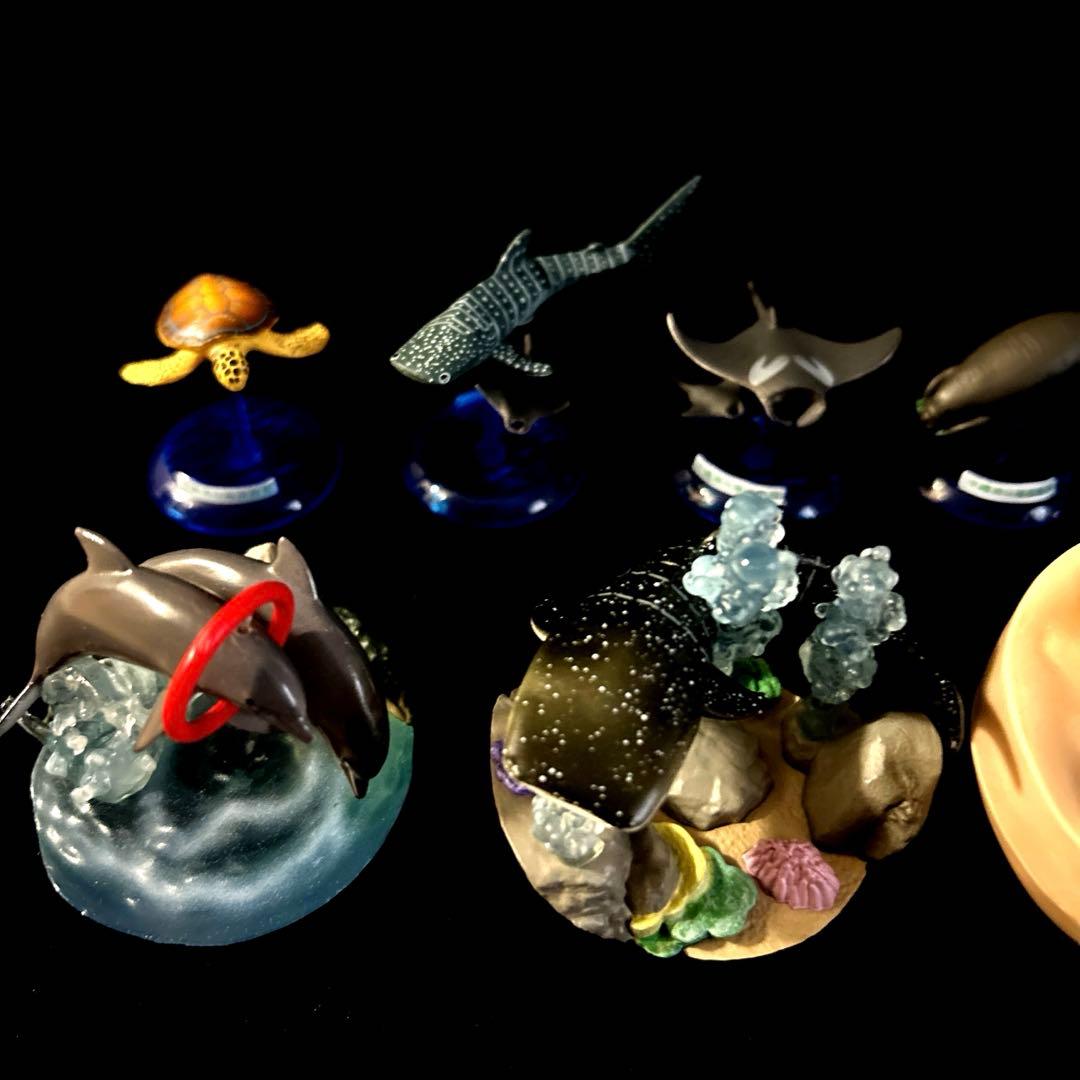 激レア 沖縄美ら海水族館 カプセルフィギュアコレクション