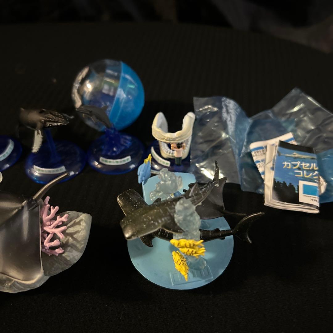 激レア 沖縄美ら海水族館 カプセルフィギュアコレクション