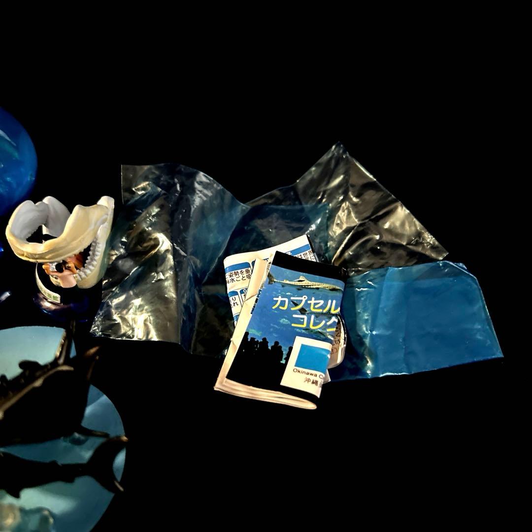 激レア 沖縄美ら海水族館 カプセルフィギュアコレクション