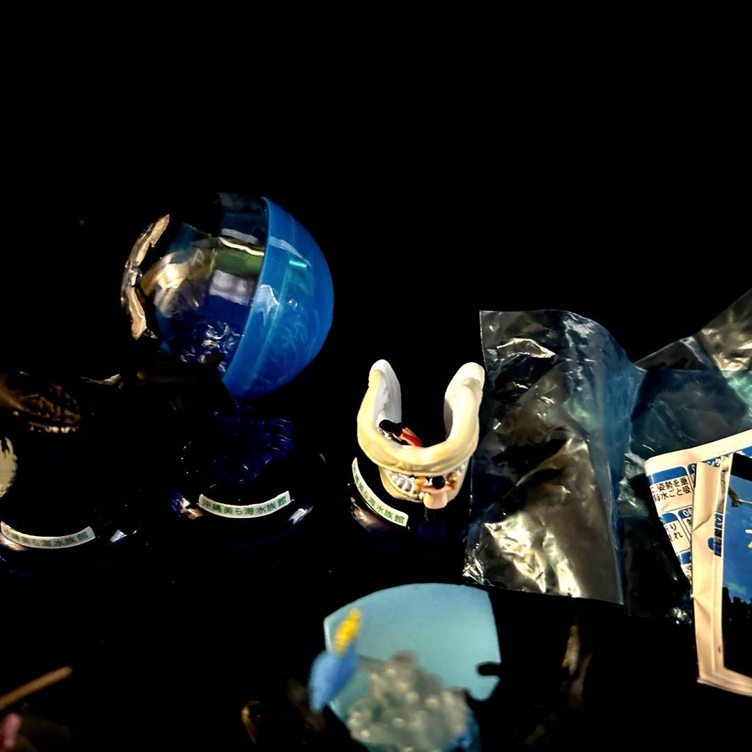 激レア 沖縄美ら海水族館 カプセルフィギュアコレクション