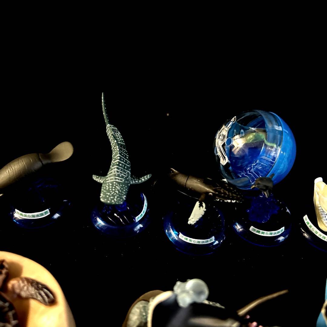激レア 沖縄美ら海水族館 カプセルフィギュアコレクション