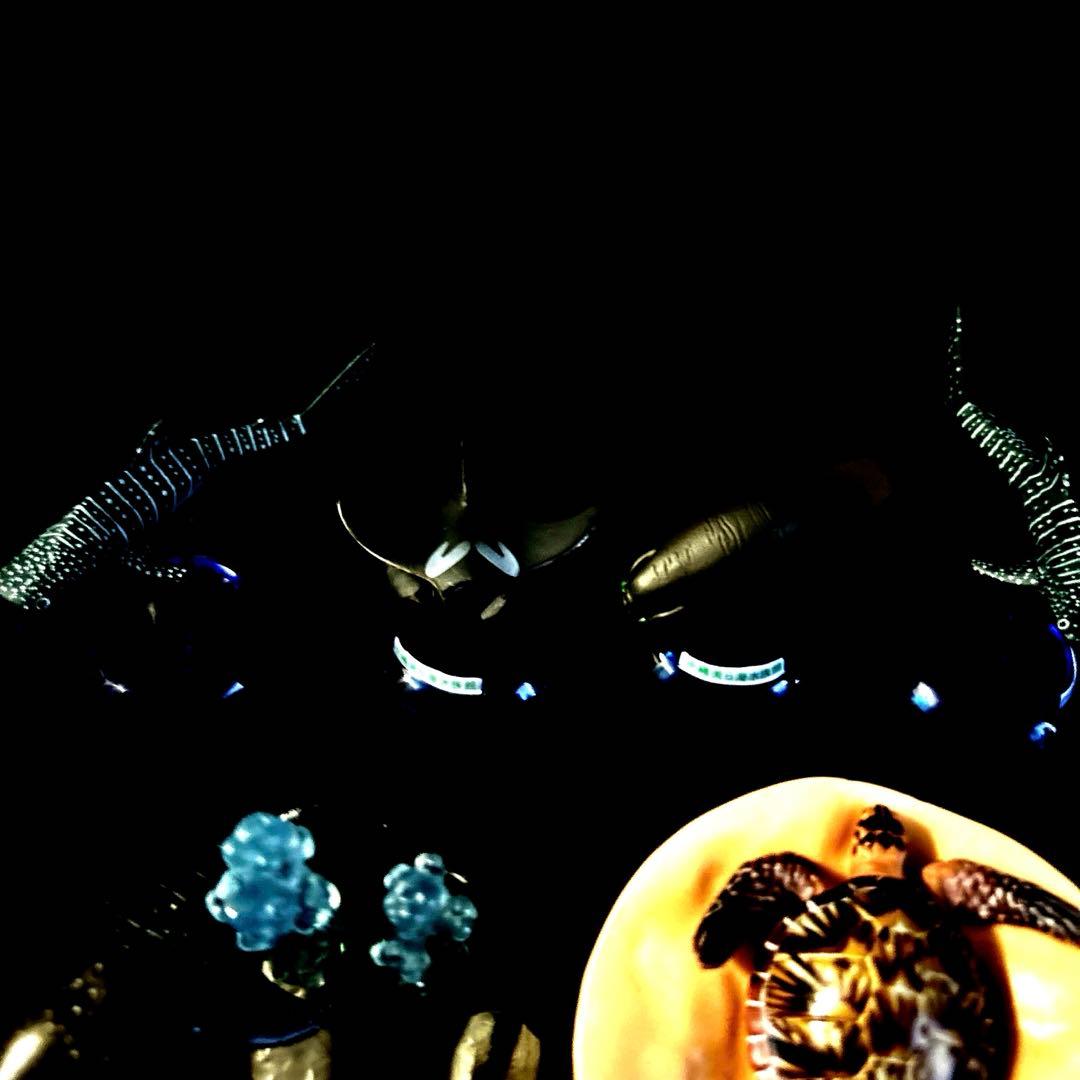 激レア 沖縄美ら海水族館 カプセルフィギュアコレクション