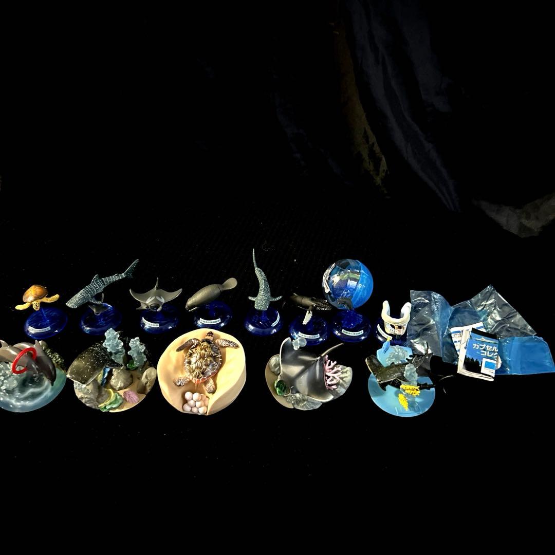 激レア 沖縄美ら海水族館 カプセルフィギュアコレクション