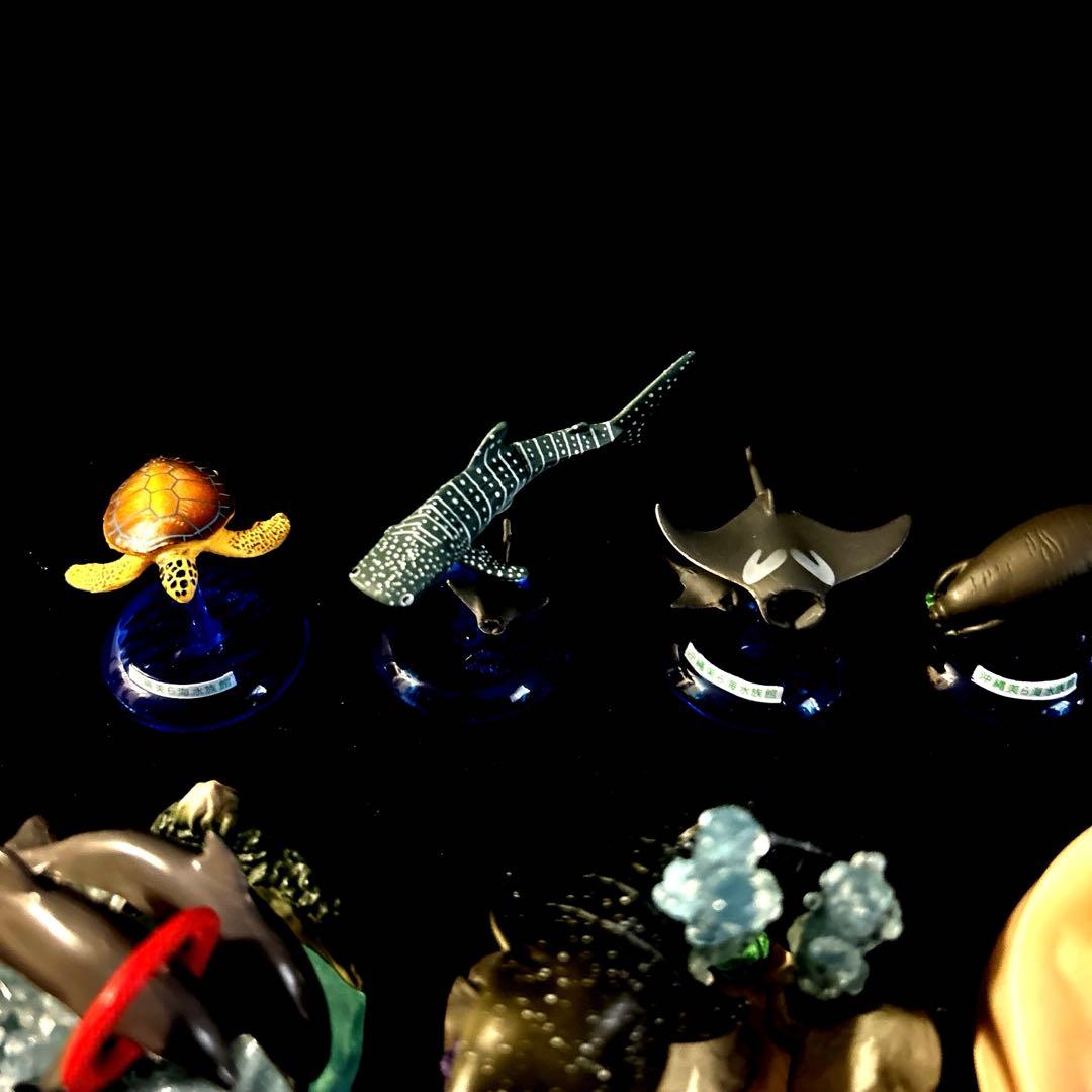 激レア 沖縄美ら海水族館 カプセルフィギュアコレクション
