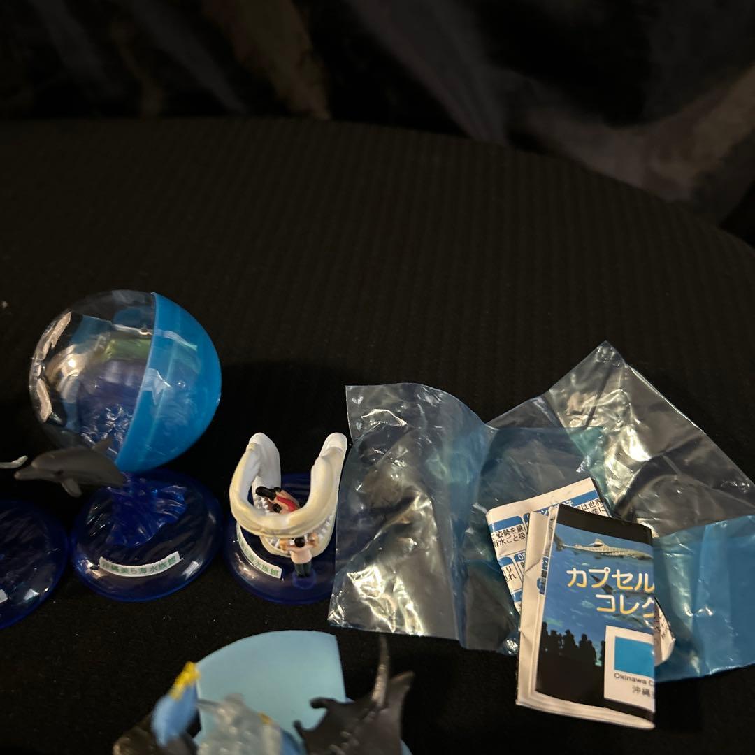 激レア 沖縄美ら海水族館 カプセルフィギュアコレクション