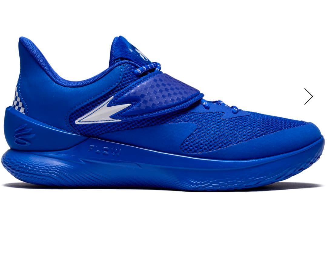 シューズ(男性用) CURRY FOX 1 26.5