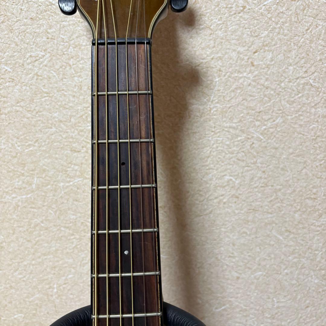 Aria TG-1N アコースティックギター 弦交換済み ソフトケース付き