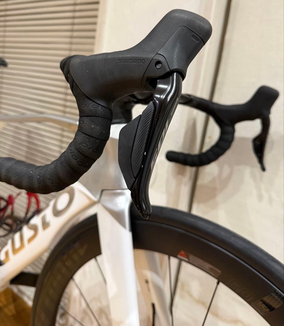 GUSTO DURO EVO SPORT TE(2025年モデル、105di2)