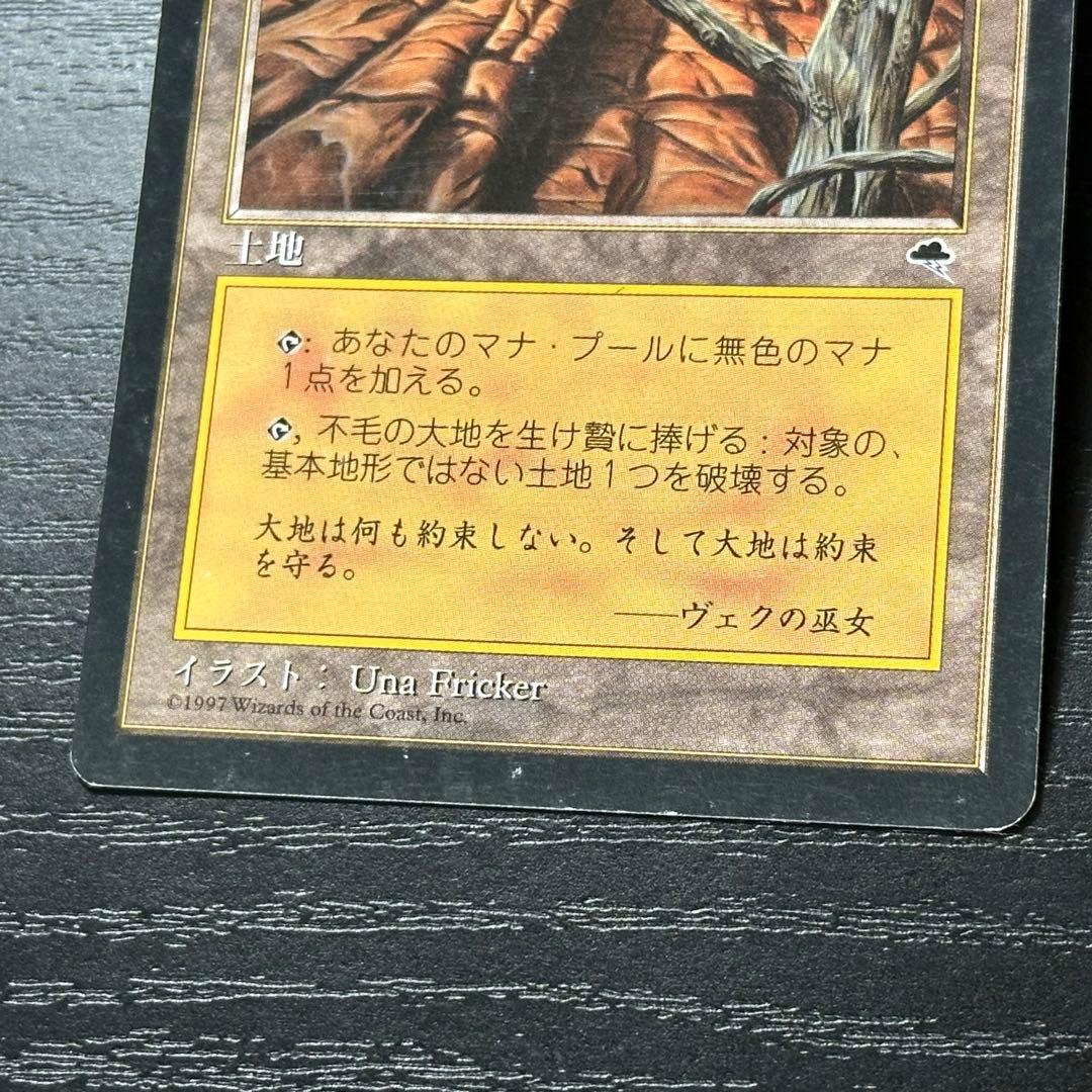 MTG 不毛の大地 日本語 初版 4枚
