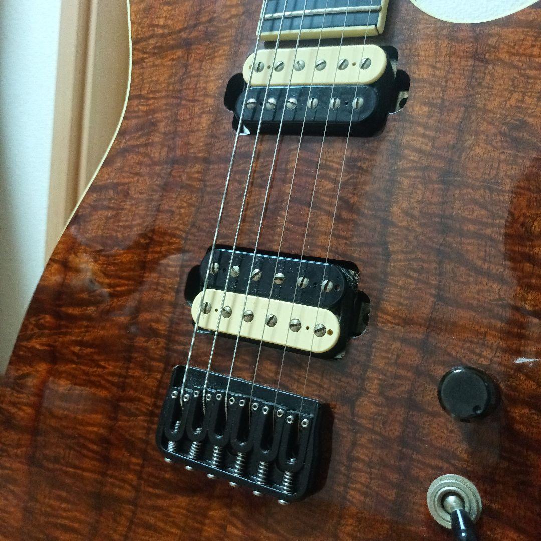 ギター Josh Parkin Guitars Custom Order