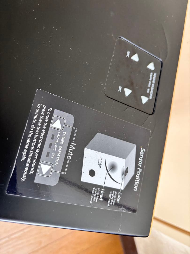 Roland EC-10 電子 カホン