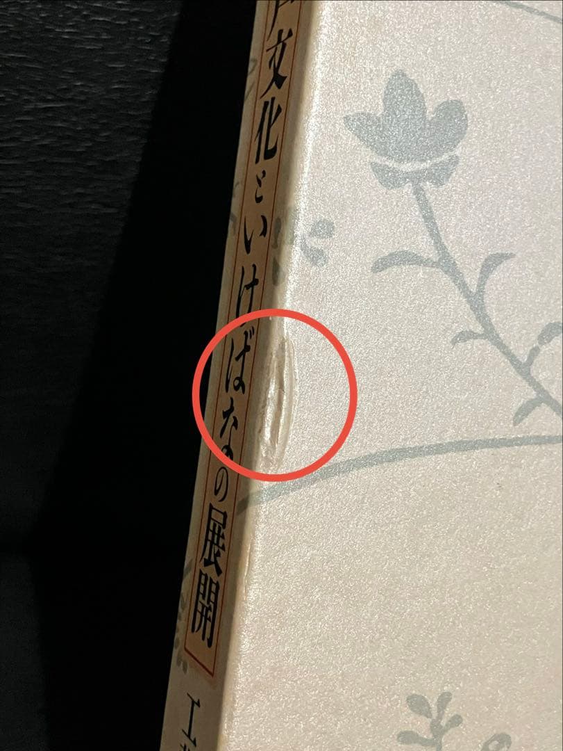 日本いけばな文化史　全5冊