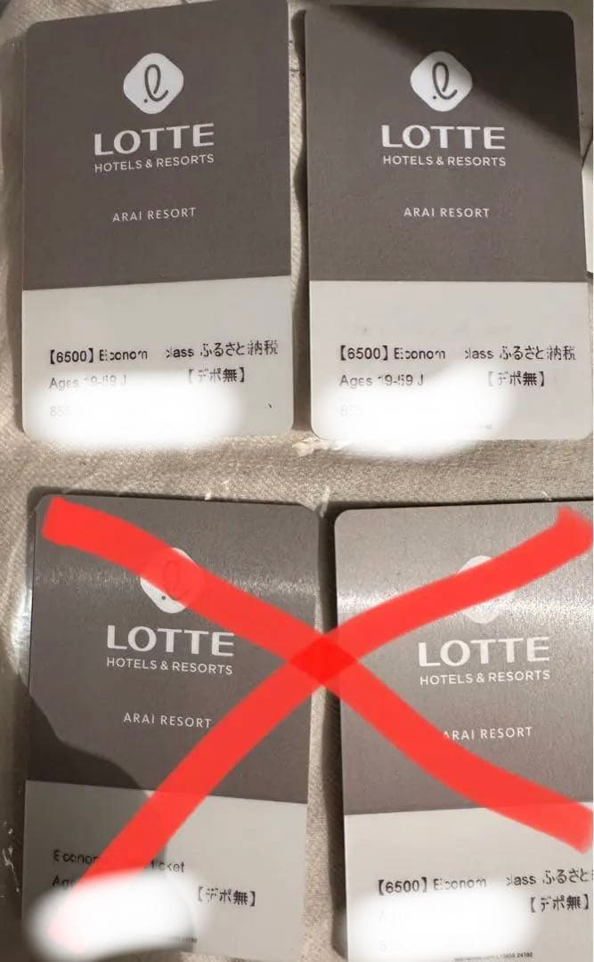 ロッテアライリゾート　エコノミークラス　ゴンドラ・リフト1日券　2枚セット