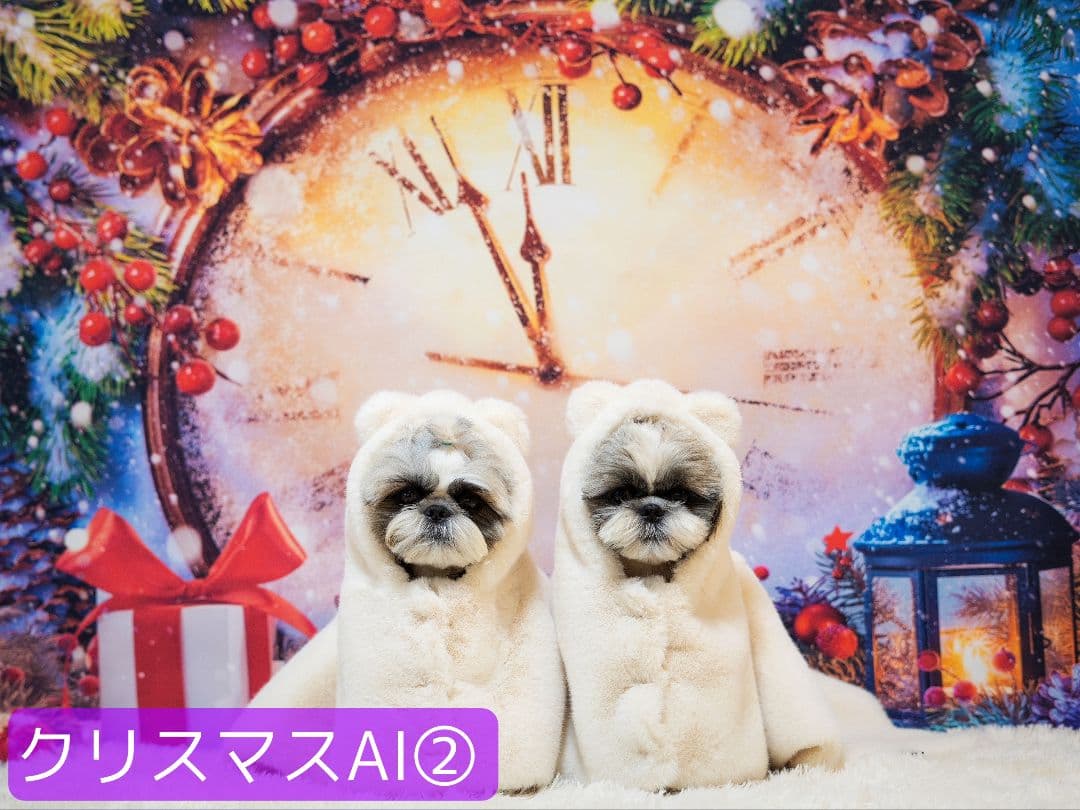 背景布【秋C】サンプル　ペット撮影用　紅葉　イチョウ　トリミングチョーカー販売中