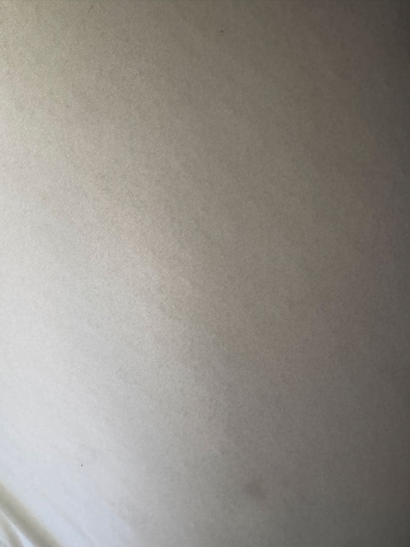 大幅お値下げ⭐︎Yogibo MAX⭐︎色ライトグレー⭐︎直接引き取り