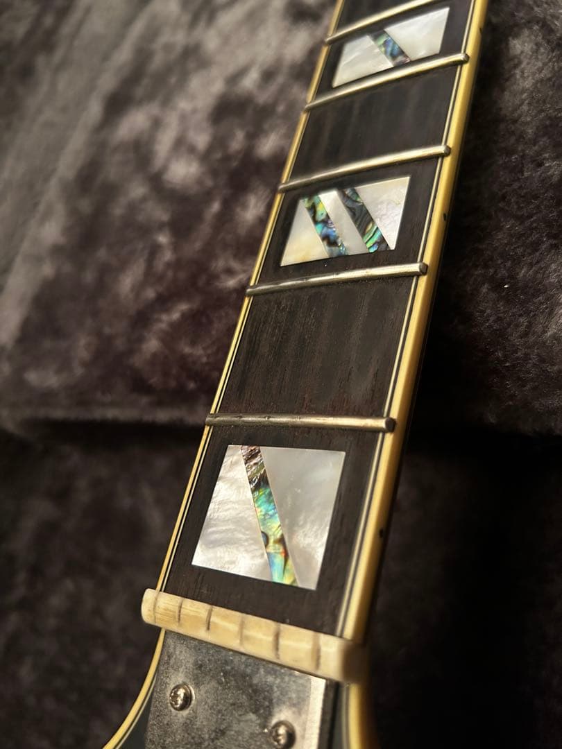 ギター D'Angelico Deluxe Bedford sh