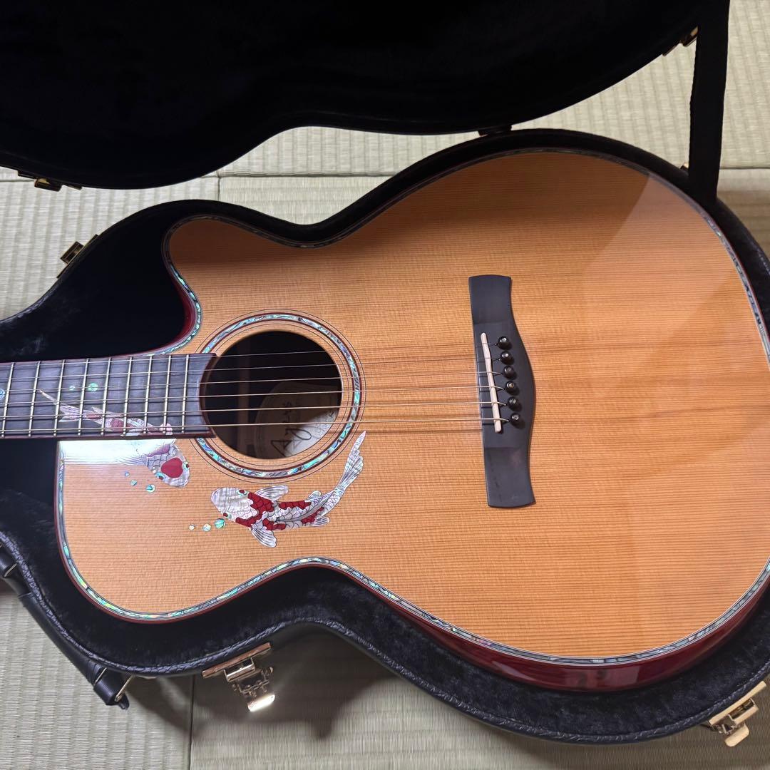 Ayers アコースティックギター CustomShop 限定版 ココボロ 錦鯉