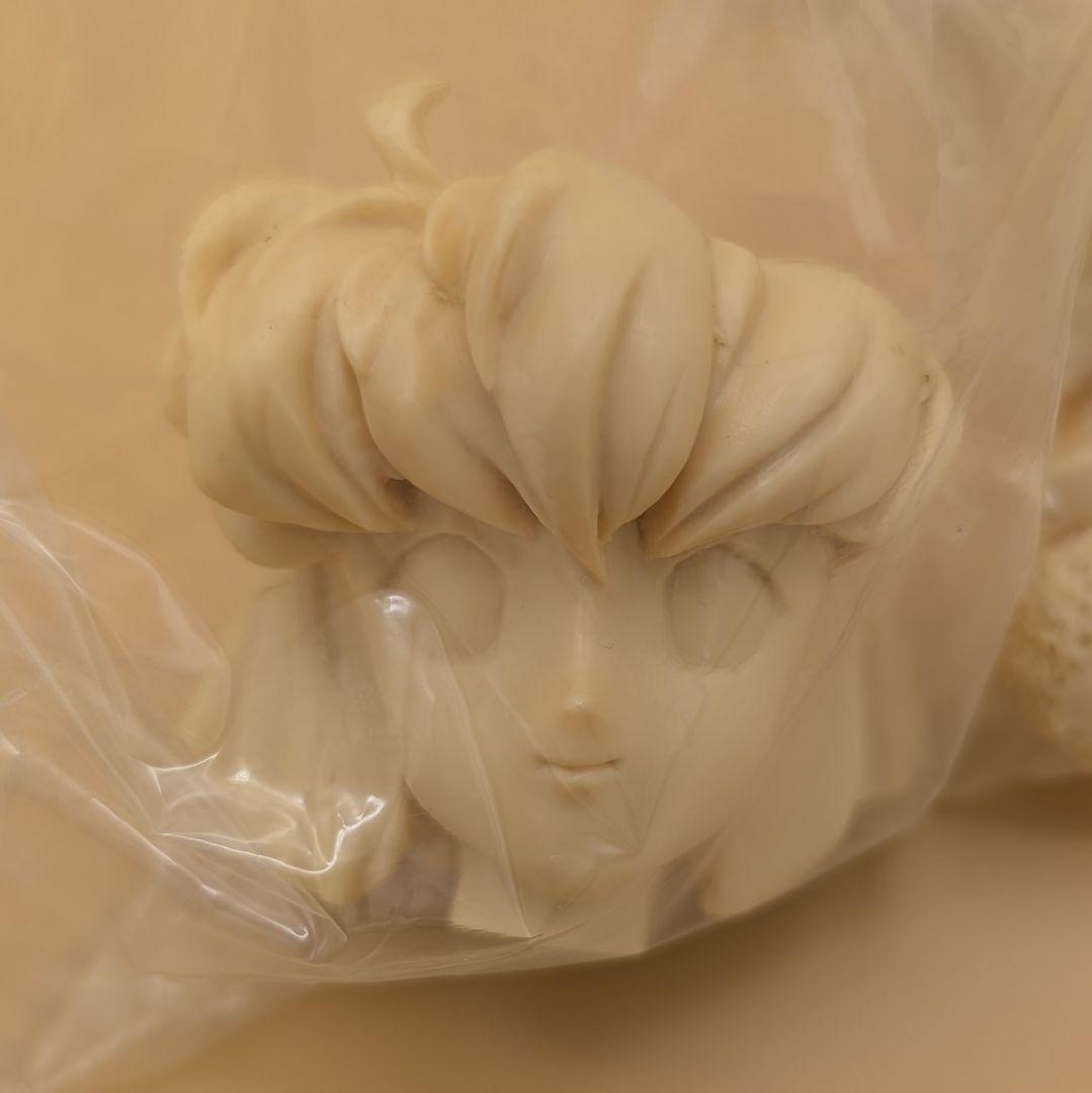 1/5 ミスティーメイ ガレージキット 園田健一 ガレキ ミスティメイ レジン