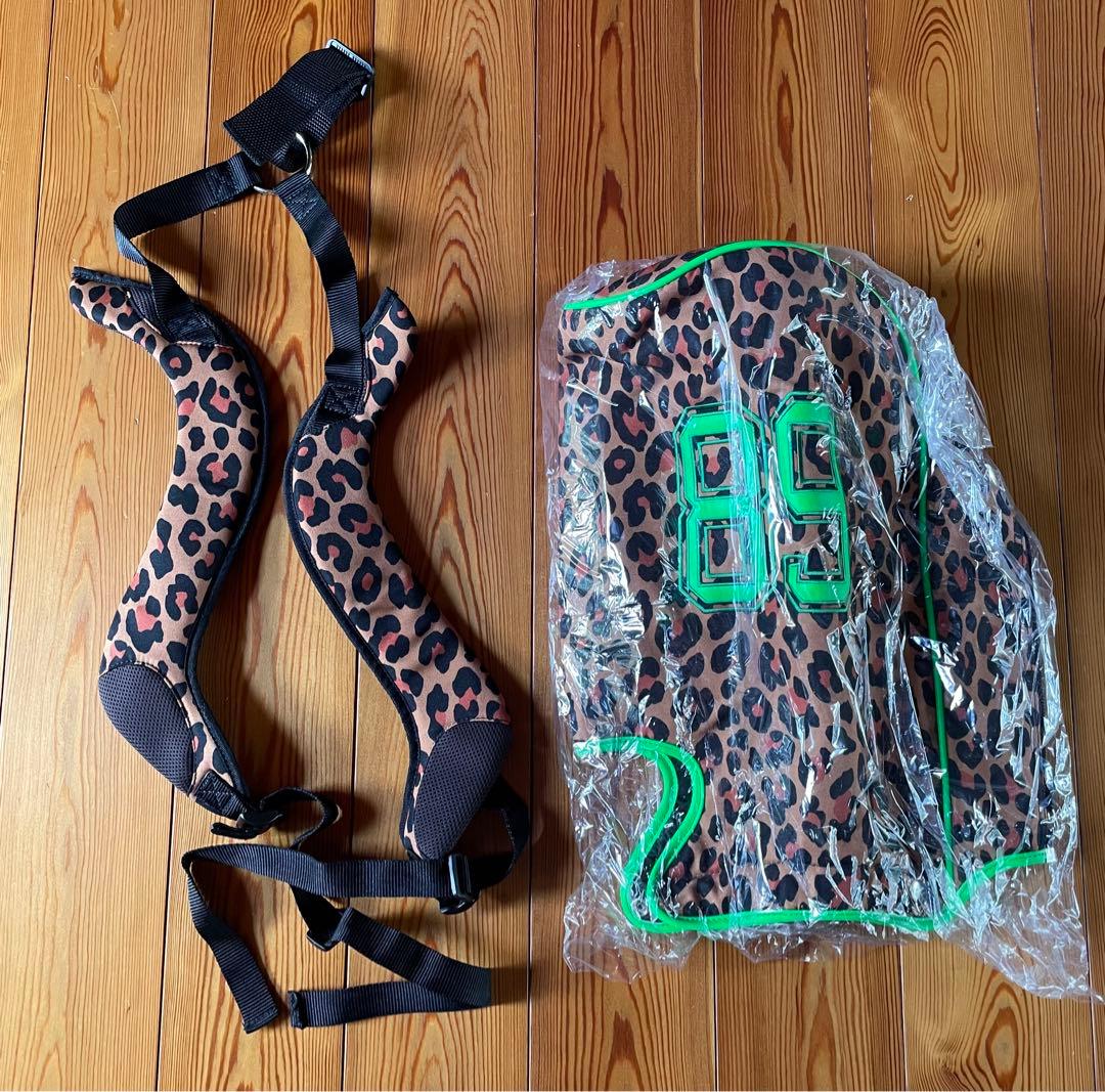 キャディバックセット