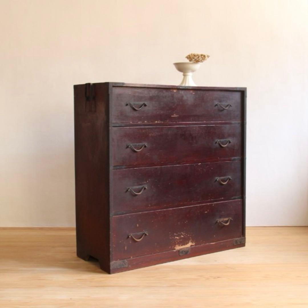 【アップルミント】