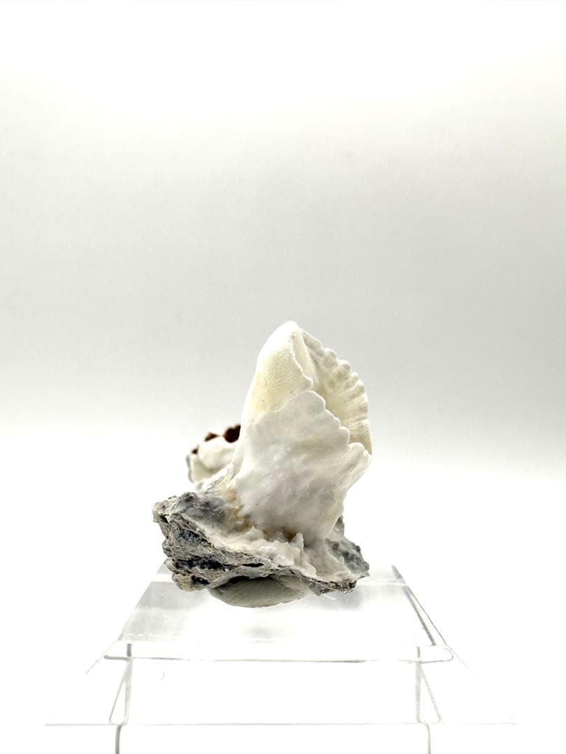 アラゴナイト　カップ　原石　鉱物標本　天然石　石　霞石