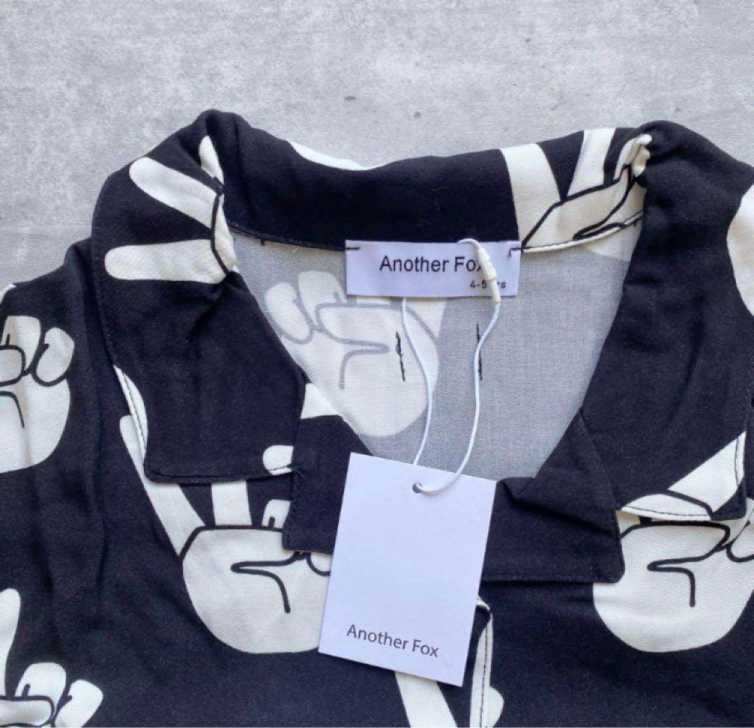 Another fox 4点セット