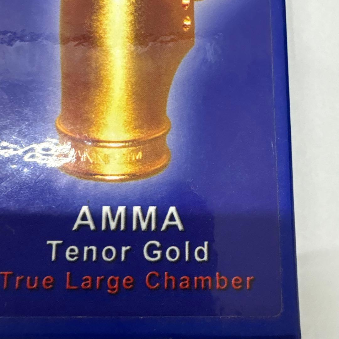 Theo Wanne AMMA 7⭐︎ テナーマウスピース