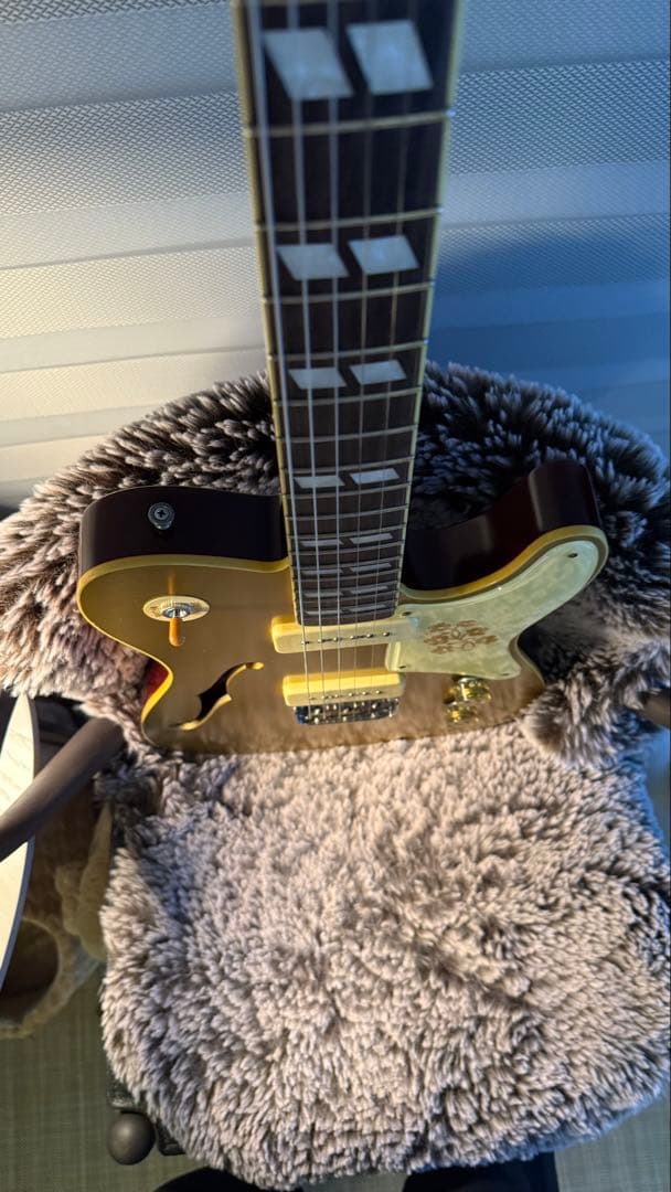 Bruno guitars tn−295 goldtop