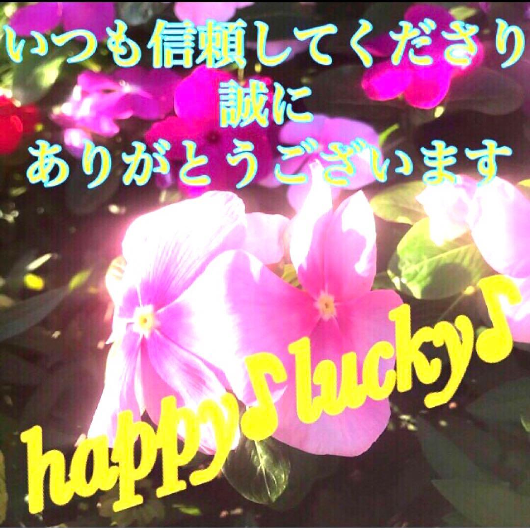 秘符(万葉)モテる　恋愛　人気　好感　容姿　容貌　魅力　護符　霊符　お守り