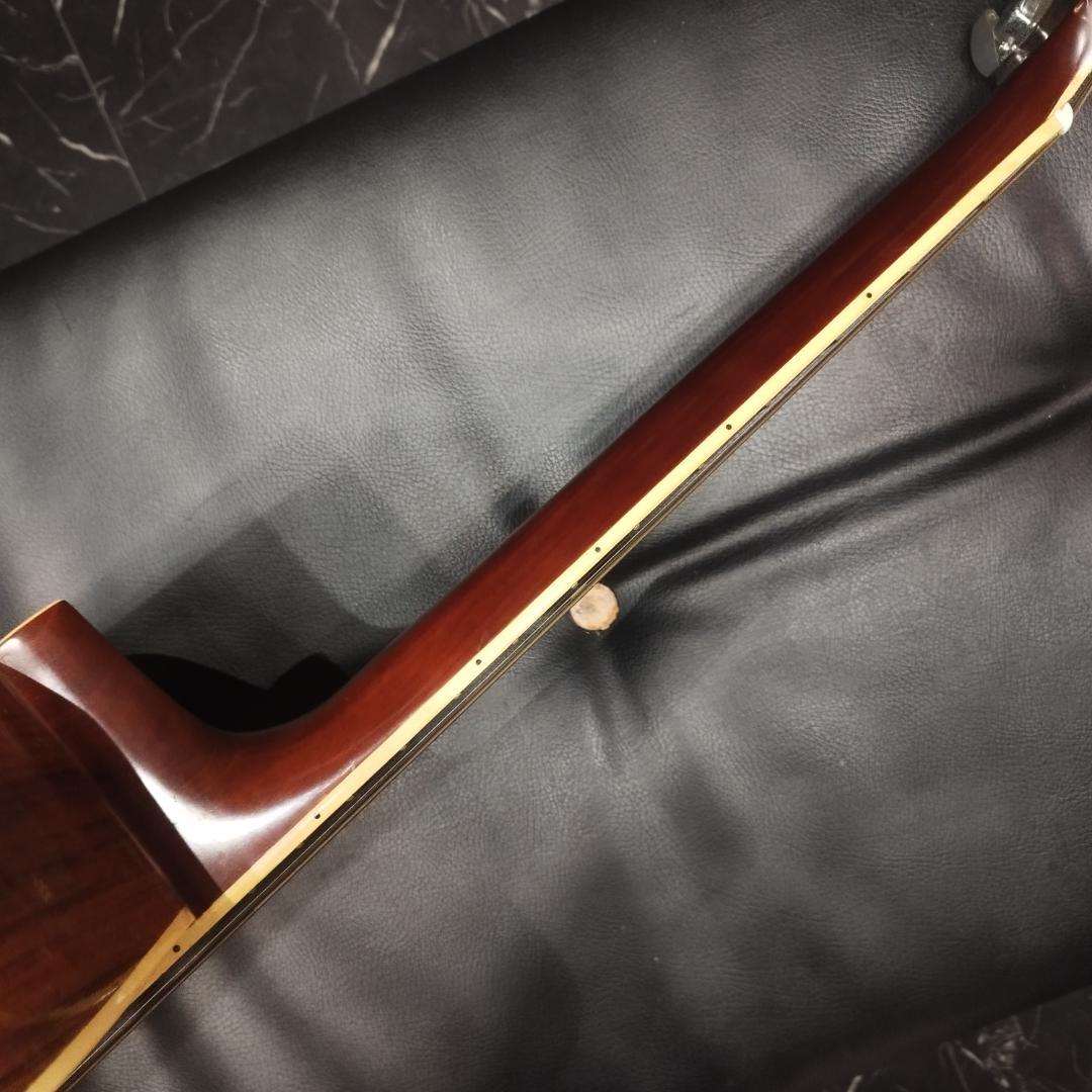 Aria ＆ co アコースティックギター　W-200