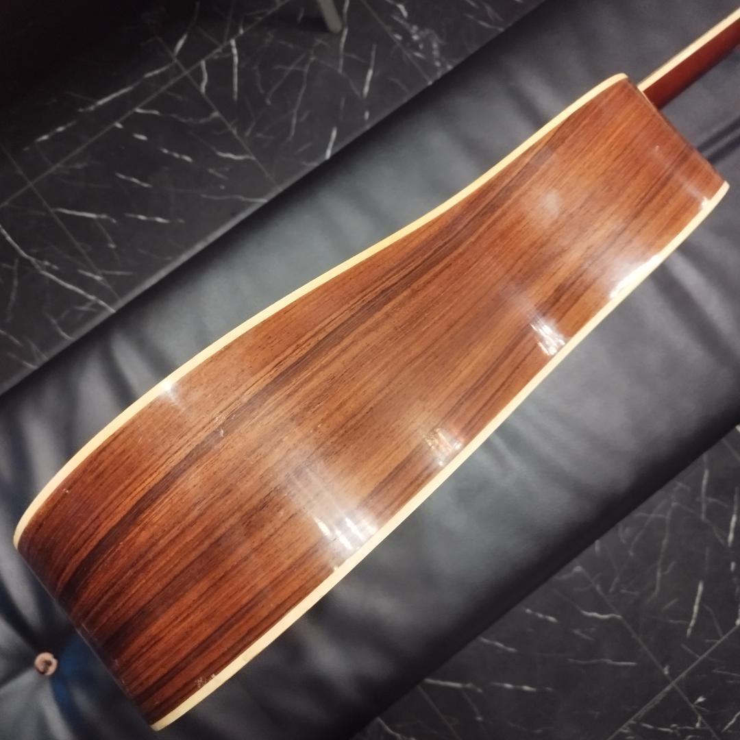 Aria ＆ co アコースティックギター　W-200