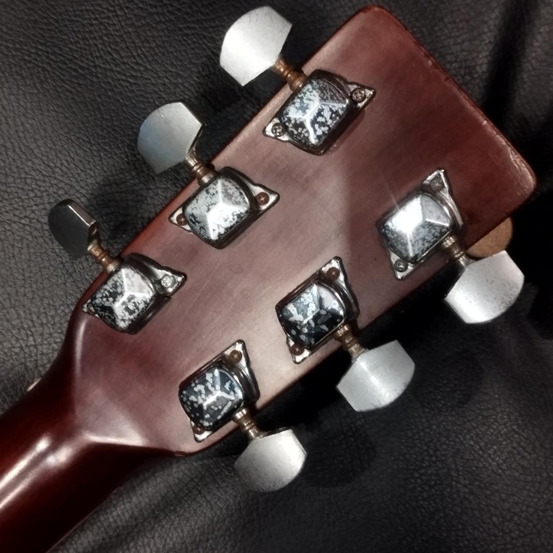 Aria ＆ co アコースティックギター　W-200