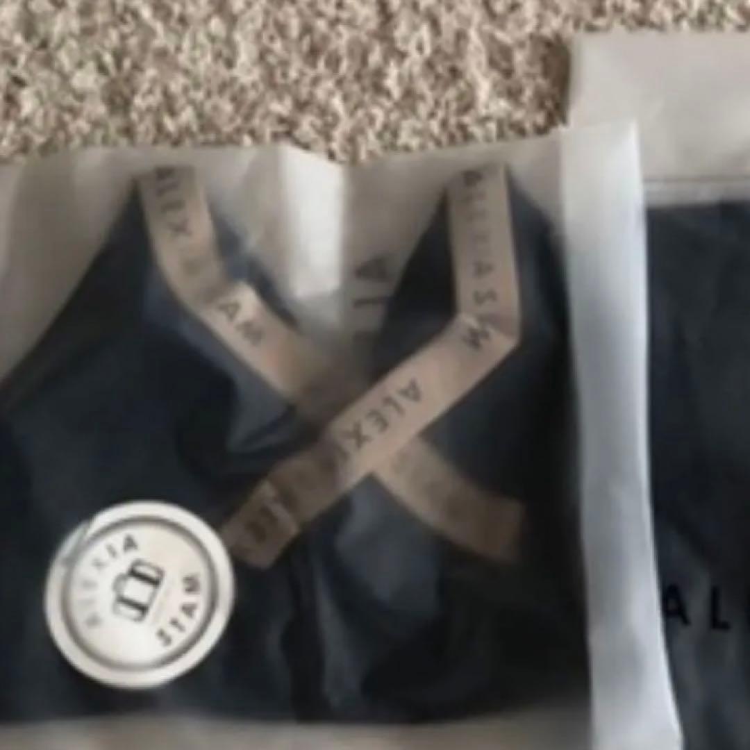 アリシアスタン　トレーニングトップス　ヨガトップス　M