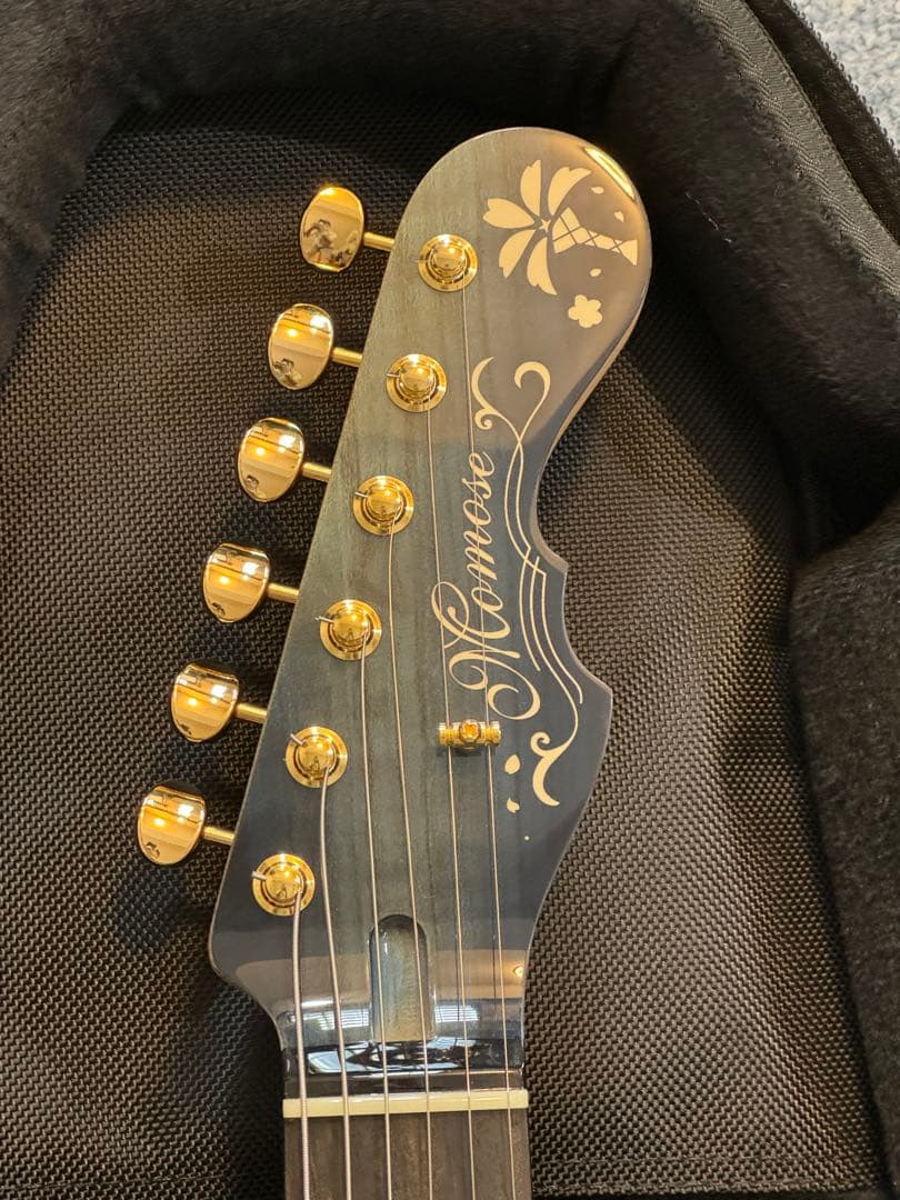 ギター momose MT-HYUGAZAKURA SP 25 E DBL-VGR