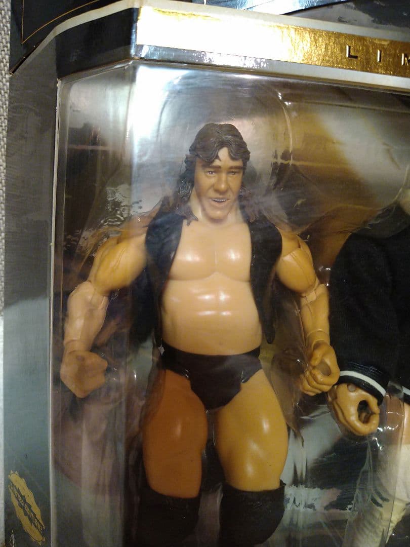 開封品　貴重！WWE クラシック限定版！全日　テリー・ゴディ&マイケル・ヘイズ