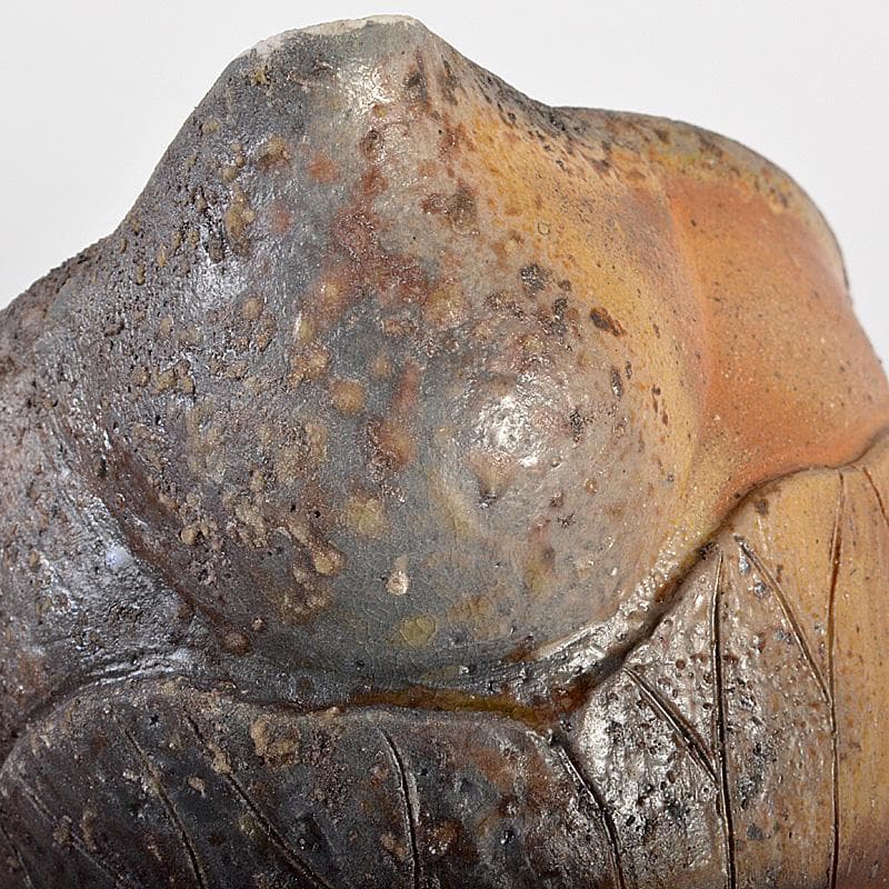 煎茶道具　備前焼　明光窯　蓮根摘蓮葉　宝瓶　急須　共箱　D　R6438