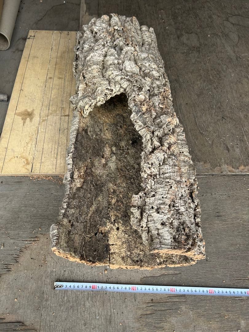 ポルトガル産コルク樹皮ＰＬ-102-10ＬＬ