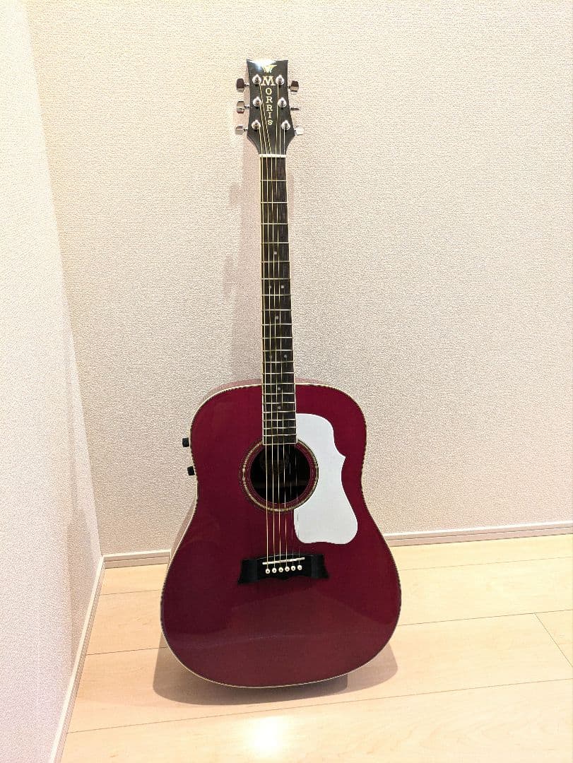 Morris アコースティックギター ワインレッドG35