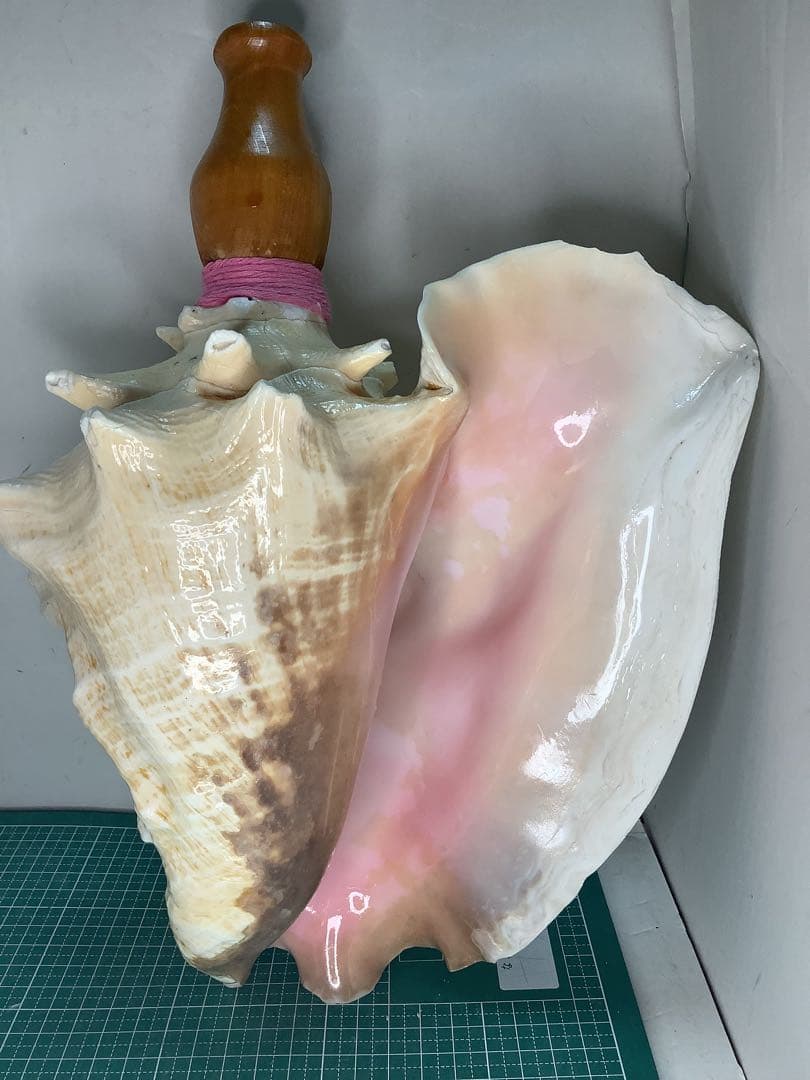 #01・ピンクガイ・法螺貝・山伏・修験者・豊臣兄弟・羽黒山・縁起物・ピンクリボン