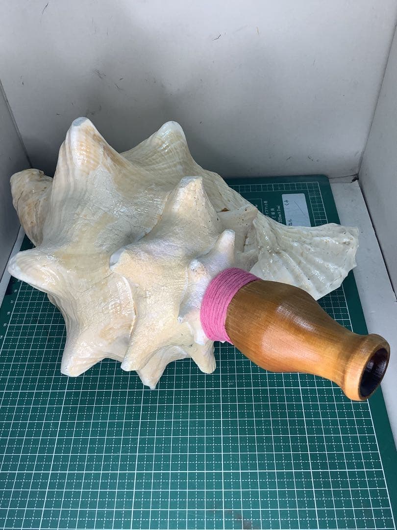 #01・ピンクガイ・法螺貝・山伏・修験者・豊臣兄弟・羽黒山・縁起物・ピンクリボン