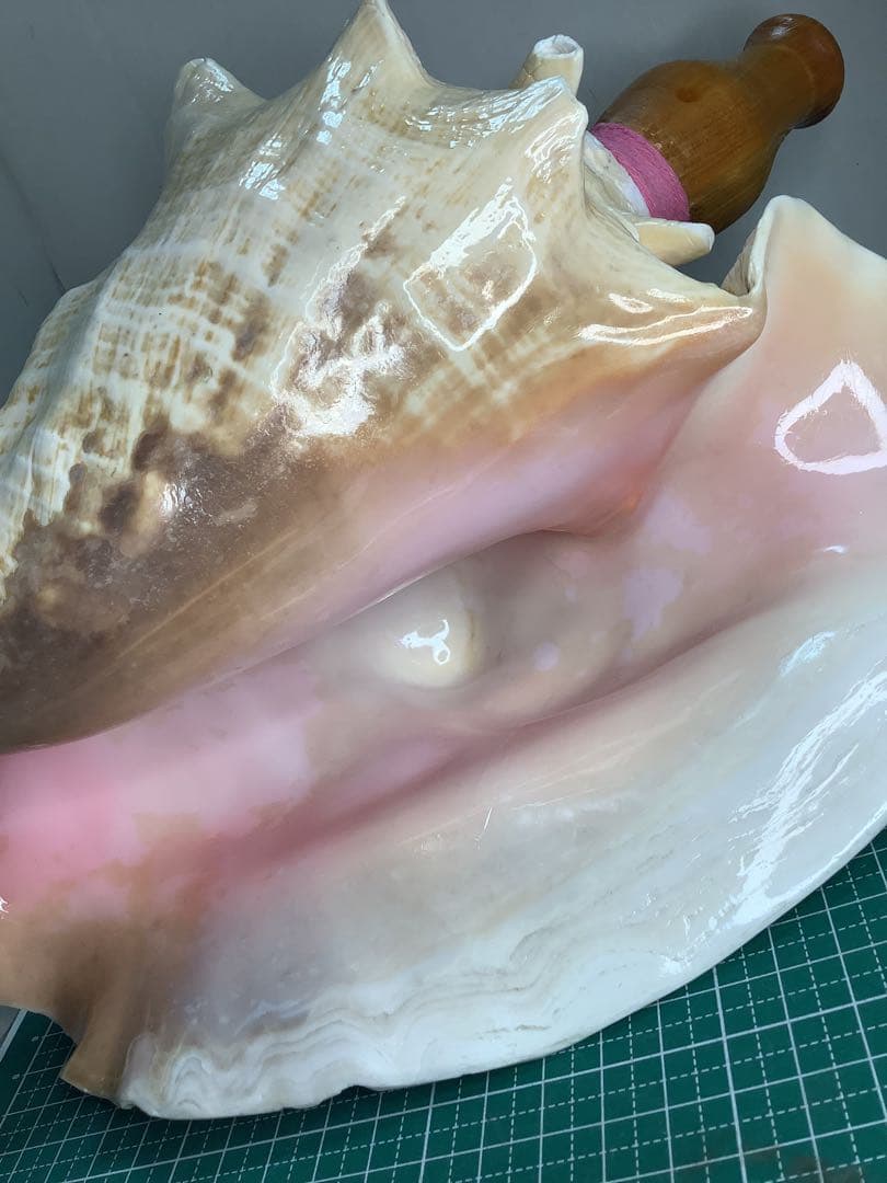 #01・ピンクガイ・法螺貝・山伏・修験者・豊臣兄弟・羽黒山・縁起物・ピンクリボン